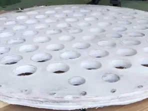 طبق ترشيح مشكل بالصب مطلية بـ PTFE (السماكة 25 إلى 30 مم)